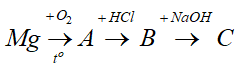 Trắc nghiệm Hóa 9 Bài 9 (có đáp án): Tính chất hóa học của muối (phần 2)