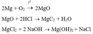 Trắc nghiệm Hóa 9 Bài 9 (có đáp án): Tính chất hóa học của muối (phần 2)