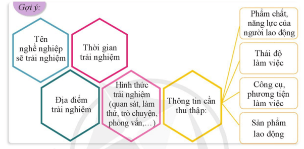 Lập kế hoạch trải nghiệm một nghề mà em quan tâm