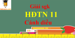 Hoạt động trải nghiệm 11 Cánh diều | Giải bài tập HĐTN 11 (hay, ngắn gọn) | Soạn HĐTN 11 Cánh diều