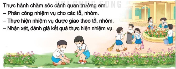 Tuần 29