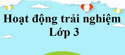 Hoạt động trải nghiệm lớp 3 | Giải Hoạt động trải nghiệm lớp 3