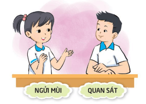 Hoạt động trải nghiệm lớp 3 Tuần 22 trang 64, 65, 66, 67 - Kết nối tri thức