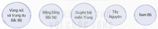 Hoạt động trải nghiệm lớp 5 Kết nối tri thức Tuần 28 (trang 76, 77, 78)