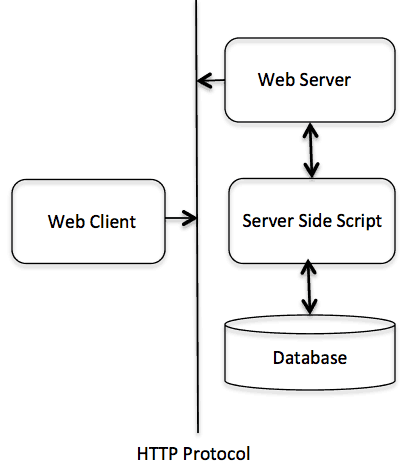 Cấu trúc HTTP