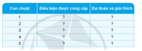 Khoa học lớp 4 Cánh diều Bài 14: Nhu cầu sống của động vật và chăm sóc vật nuôi