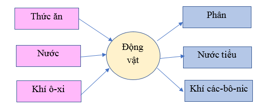 Khoa học lớp 4 Cánh diều Bài 14: Nhu cầu sống của động vật và chăm sóc vật nuôi