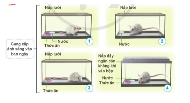 Khoa học lớp 4 Cánh diều Bài 14: Nhu cầu sống của động vật và chăm sóc vật nuôi