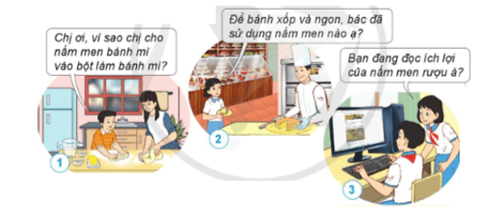 Khoa học lớp 4 Cánh diều Bài 16: Nấm men và nấm mốc