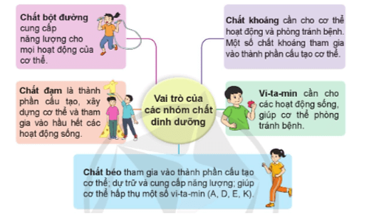 Khoa học lớp 4 Cánh diều Bài 17: Các chất dinh dưỡng cần thiết cho cơ thể