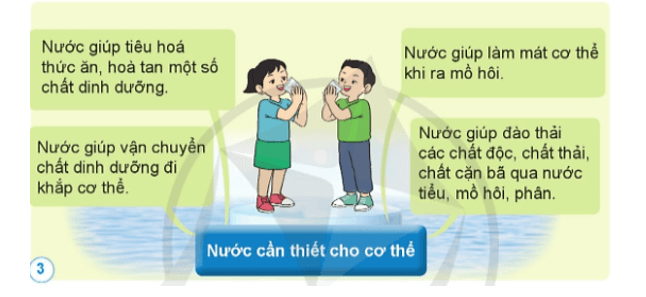 Khoa học lớp 4 Cánh diều Bài 18: Chế độ ăn uống