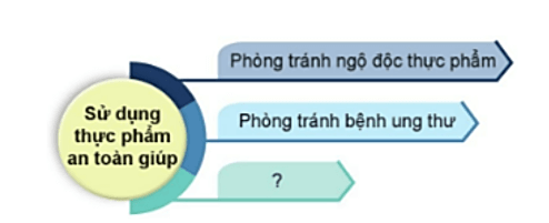 Khoa học lớp 4 Cánh diều Bài 19: Thực phẩm an toàn