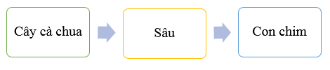 Khoa học lớp 4 Cánh diều Bài 22: Chuỗi thức ăn