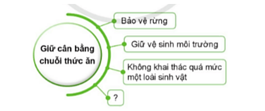 Khoa học lớp 4 Cánh diều Bài 23: Vai trò của thực vật trong chuỗi thức ăn