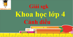 Khoa học lớp 4 Cánh diều | Giải Khoa học lớp 4 | Giải bài tập Khoa học lớp 4 | Học tốt Khoa học lớp 4