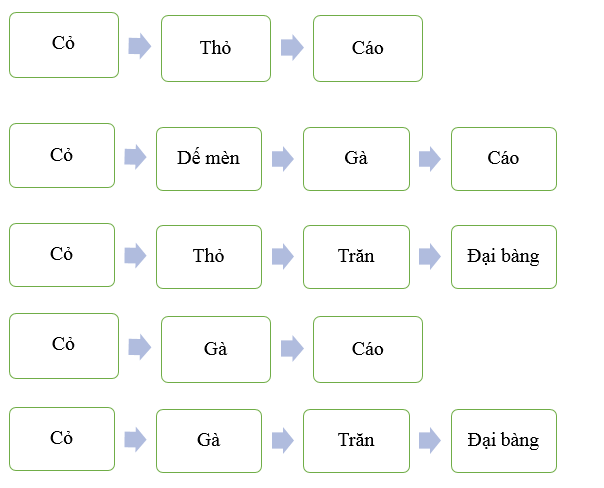 Khoa học lớp 4 Cánh diều Ôn tập chủ đề Sinh vật và môi trường