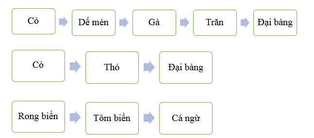 Khoa học lớp 4 Cánh diều Ôn tập chủ đề Sinh vật và môi trường