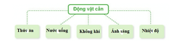 Khoa học lớp 4 Cánh diều Ôn tập chủ đề Thực vật và động vật