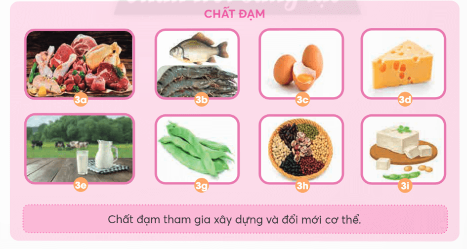 Khoa học lớp 4 Chân trời sáng tạo Bài 23: Các nhóm chất dinh dưỡng có trong thức ăn