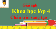 Khoa học lớp 4 Chân trời sáng tạo | Giải Khoa học lớp 4 | Giải bài tập Khoa học lớp 4 (hay, chi tiết)