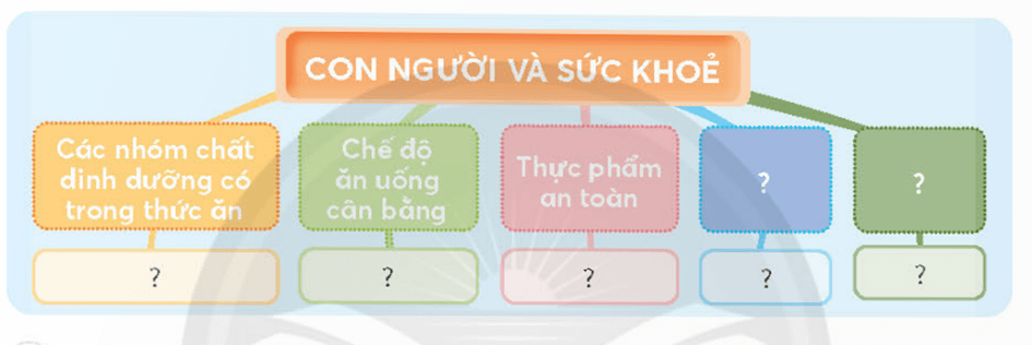 Khoa học lớp 4 trang 111 Chân trời sáng tạo