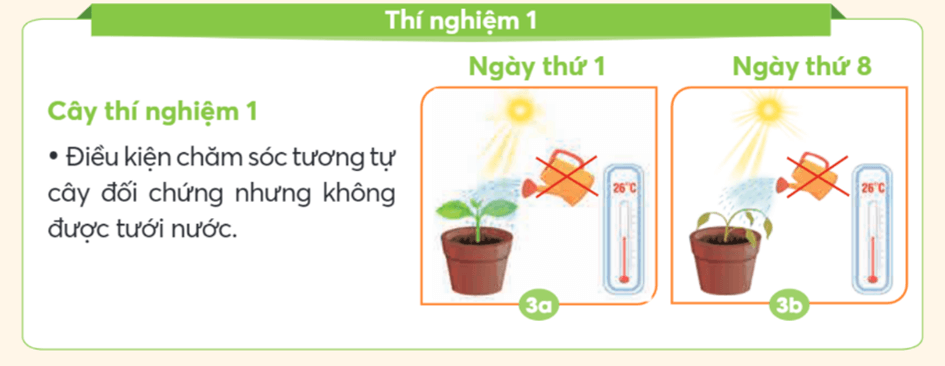 Khoa học lớp 4 trang 58 Chân trời sáng tạo