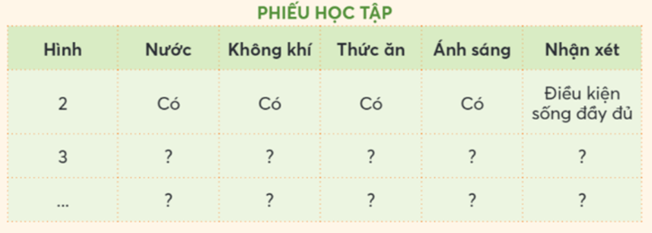 Khoa học lớp 4 trang 63 Chân trời sáng tạo