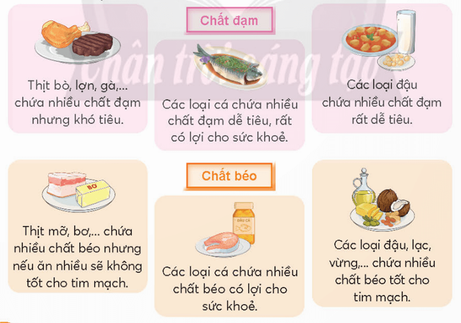 Khoa học lớp 4 trang 94 Chân trời sáng tạo