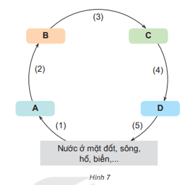 Khoa học lớp 4 Kết nối tri thức Bài 2: Sự chuyển thể của nước và vòng tuần hoàn của nước trong tự nhiên