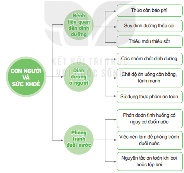 Khoa học lớp 4 Kết nối tri thức Bài 28: Ôn tập chủ đề con người và sức khỏe