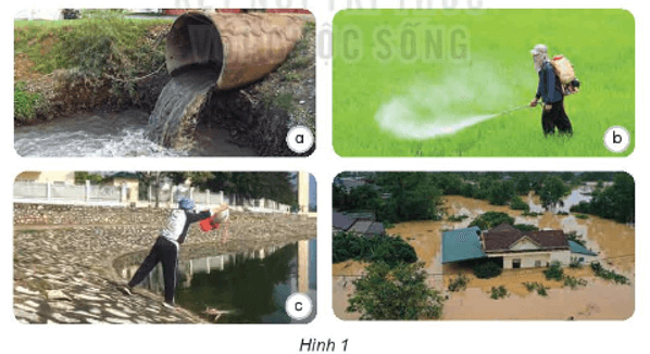 Khoa học lớp 4 Kết nối tri thức Bài 3: Sự ô nhiễm và bảo vệ nguồn nước. Một số cách làm sạch nước