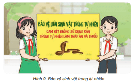 Khoa học lớp 4 Kết nối tri thức Bài 30: Vai trò của thực vật trong chuỗi thức ăn