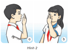 Khoa học lớp 4 Kết nối tri thức Bài 5: Vai trò của không khí và bảo vệ bầu không khí trong lành