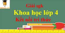 Khoa học lớp 4 Kết nối tri thức | Giải Khoa học lớp 4 | Giải bài tập Khoa học lớp 4 | Học tốt Khoa học lớp 4