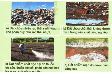 Khoa học lớp 5 Cánh diều Bài 1: Đất và bảo vệ môi trường đất