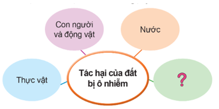 Khoa học lớp 5 Cánh diều Bài 1: Đất và bảo vệ môi trường đất