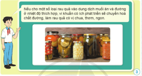 Khoa học lớp 5 Cánh diều Bài 13: Vi khuẩn có ích trong chế biến thực phẩm