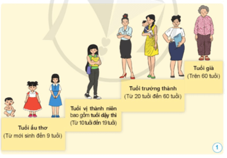 Khoa học lớp 5 Cánh diều Bài 16: Quá trình phát triển của con người