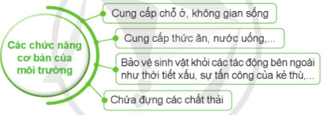 Khoa học lớp 5 Cánh diều Bài 19: Chức năng của môi trường đối với sinh vật