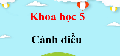 Khoa học lớp 5 Cánh diều | Giải bài tập Khoa học lớp 5 (hay, chi tiết) | Giải sgk Khoa học 5