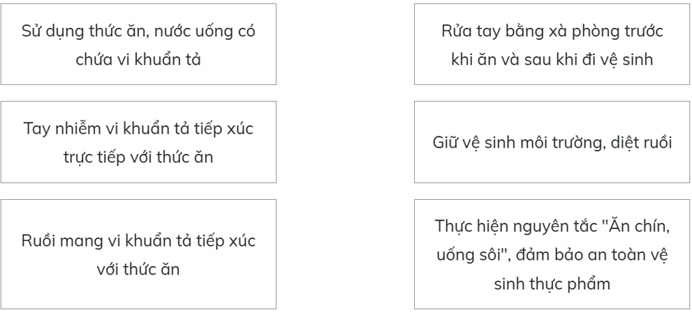 Trắc nghiệm Khoa học lớp 5 Cánh diều Bài 12 (có đáp án): Vi khuẩn và vi khuẩn gây bệnh ở người (ảnh 18)