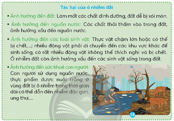 Khoa học lớp 5 Chân trời sáng tạo Bài 2: Ô nhiễm, xói mòn đất và bảo vệ môi trường đất