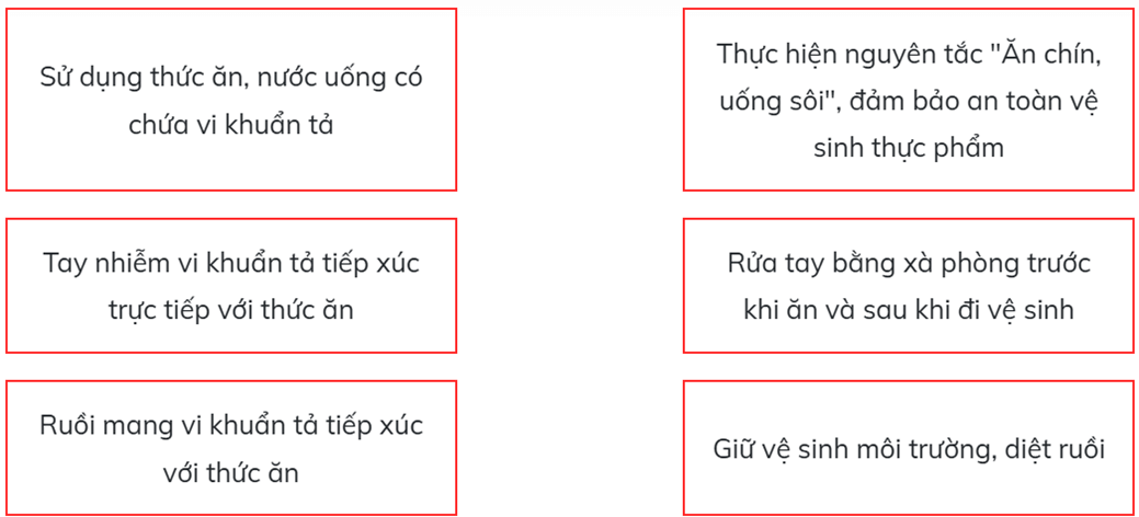Trắc nghiệm Khoa học lớp 5 Chân trời sáng tạo Bài 20 (có đáp án): Một số bệnh ở người do vi khuẩn gây ra