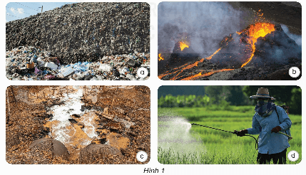 Khoa học lớp 5 Kết nối tri thức Bài 2: Ô nhiễm, xói mòn đất và bảo vệ môi trường đất