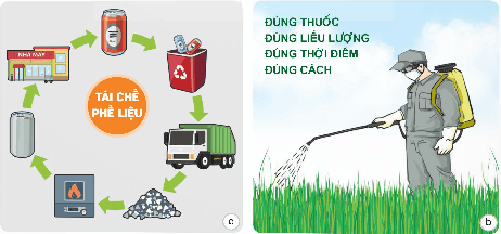 Khoa học lớp 5 Kết nối tri thức Bài 2: Ô nhiễm, xói mòn đất và bảo vệ môi trường đất