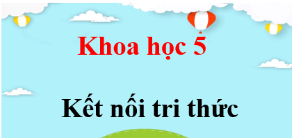 Khoa học lớp 5 Kết nối tri thức | Giải bài tập Khoa học lớp 5 (hay, chi tiết) | Giải sgk Khoa học 5