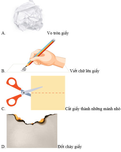  (Kết nối tri thức) Trắc nghiệm Khoa học lớp 5 Bài 5 (có đáp án): Sự biến đổi hoá học của chất