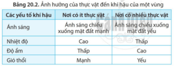 Dựa vào bảng 20.2, hãy cho biết các yếu tố khí hậu ở nơi có nhiều thực vật