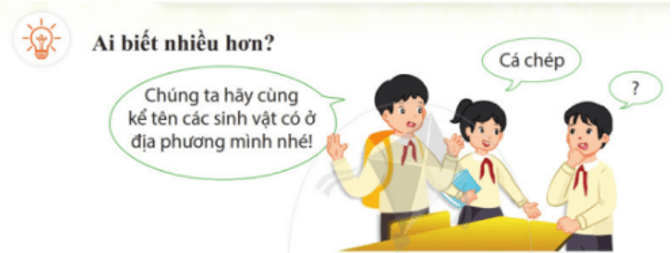 Kể tên các sinh vật có ở địa phương em