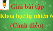 Giải bài tập KHTN lớp 6